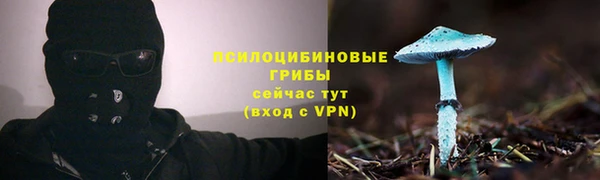 гашик Ростов