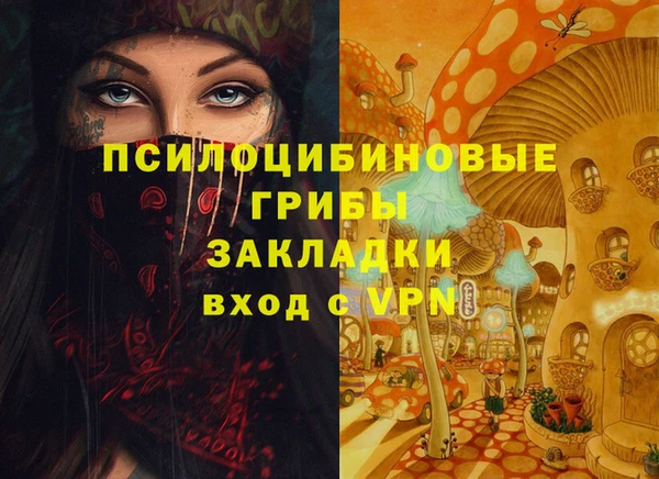 гашик Ростов
