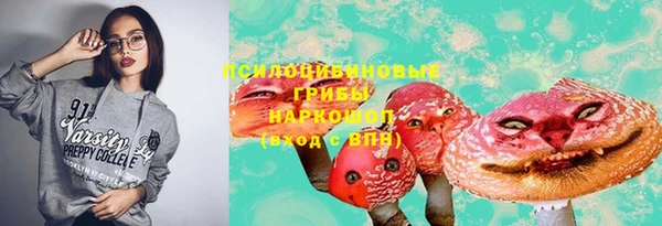 дмт Гусев