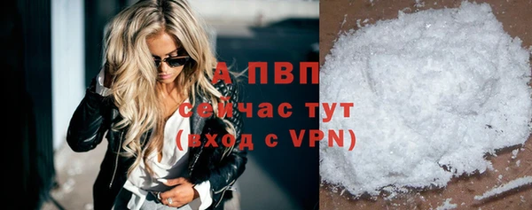 гашик Ростов