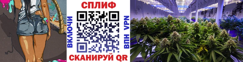 Бошки Шишки тримм  Судак 